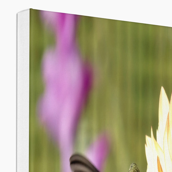 Flower Flame Hummingbird Canvas