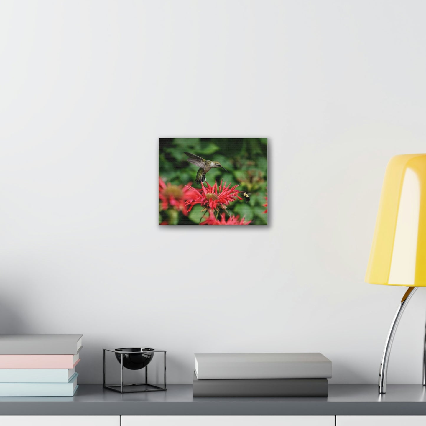 Hummingbird Stare Canvas Stretched, 0.75"