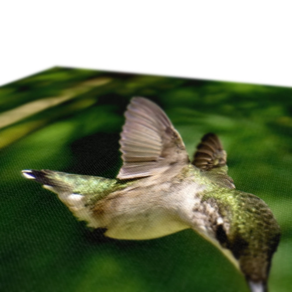 Snappy Light Hummingbirds Eco Canvas