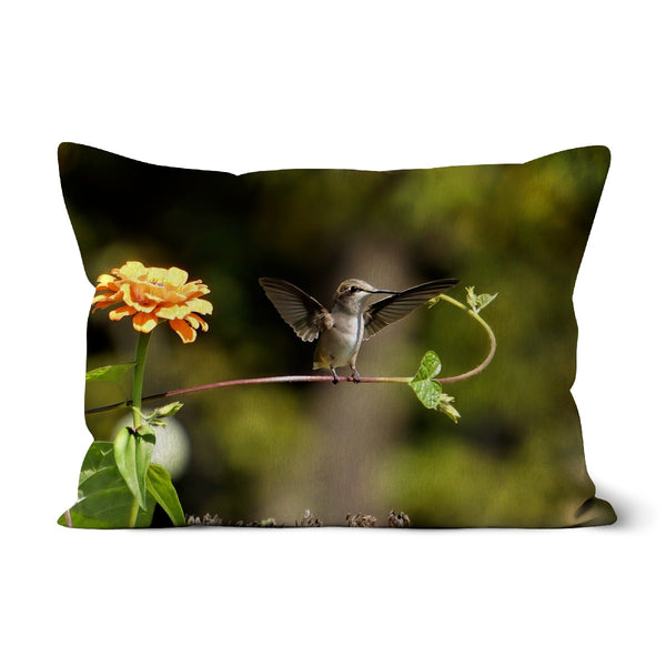 Hummingbird Stretch Cushion