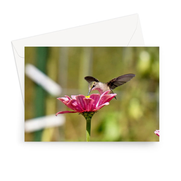 Hummingbird Hug Greeting Card