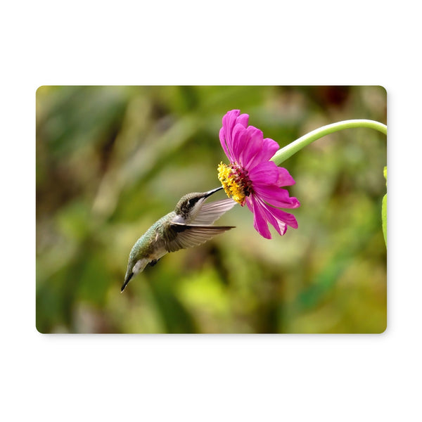 Hummingbird Looking Up Photography Placemat