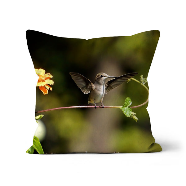 Hummingbird Stretch Cushion