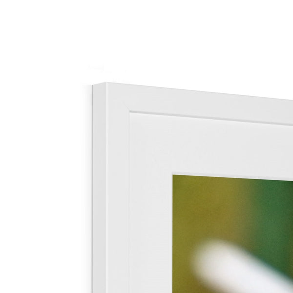 Hummingbird Hug Framed & Mounted Print