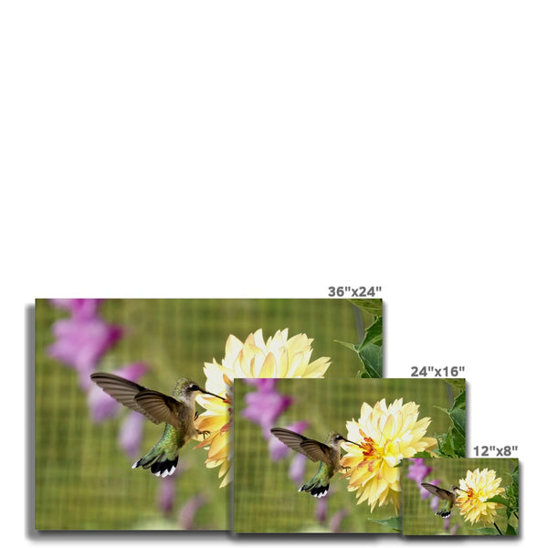 Flower Flame Hummingbird Canvas
