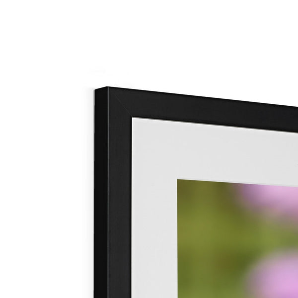 Flower Flame Hummingbird Framed & Mounted Print