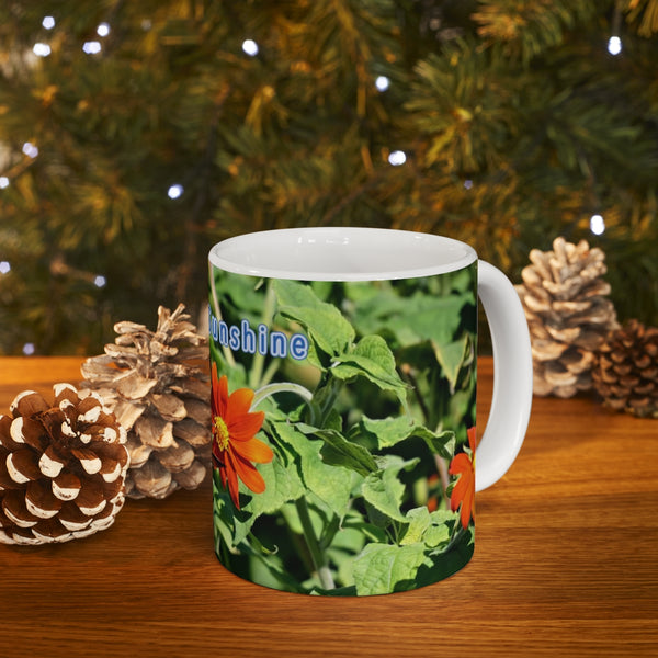 Sunshine Taste Hummingbird Ceramic Mug 11oz