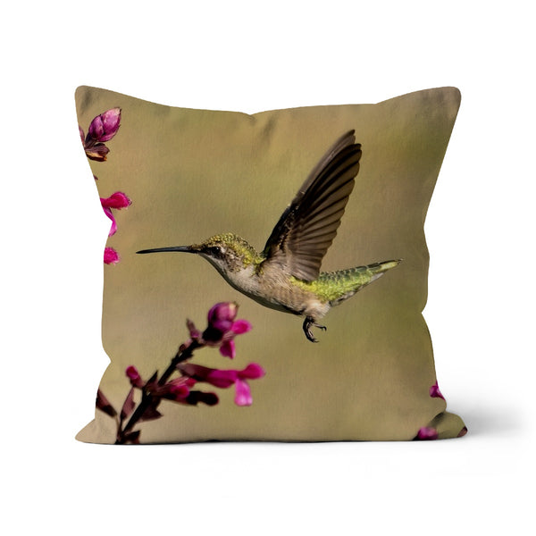 Hummingbird Dart Photography Cushion