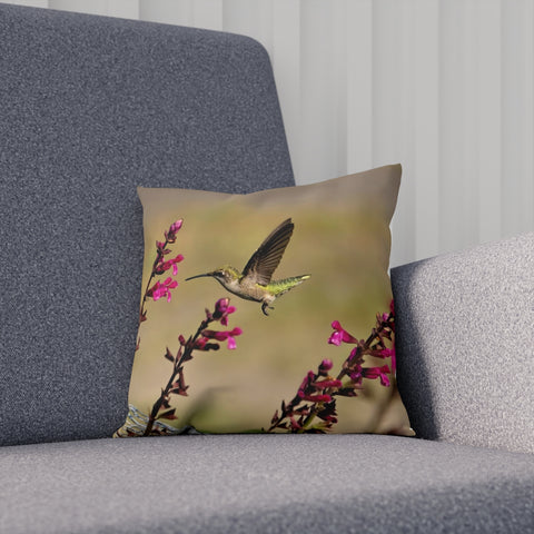 Flying Dart Hummingbird Cushion