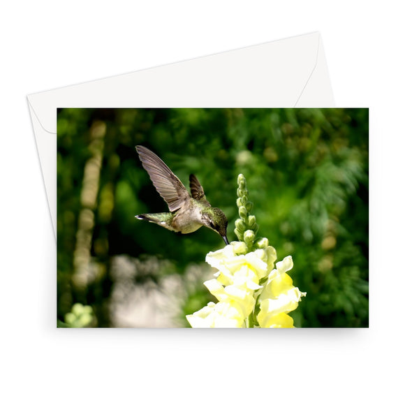 Snappy Light Hummingbirds Greeting Card