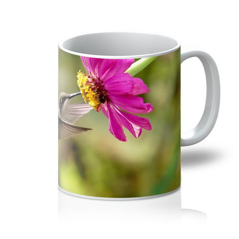 Hummingbird Looking Up Photography Mug
