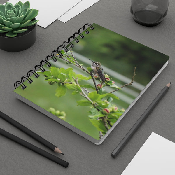 Flower Bud Hummingbird Spiral Bound Journal