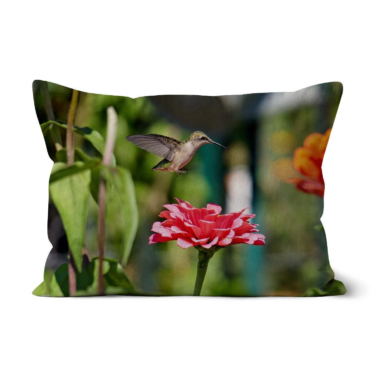 Hummingbird Hop Cushion
