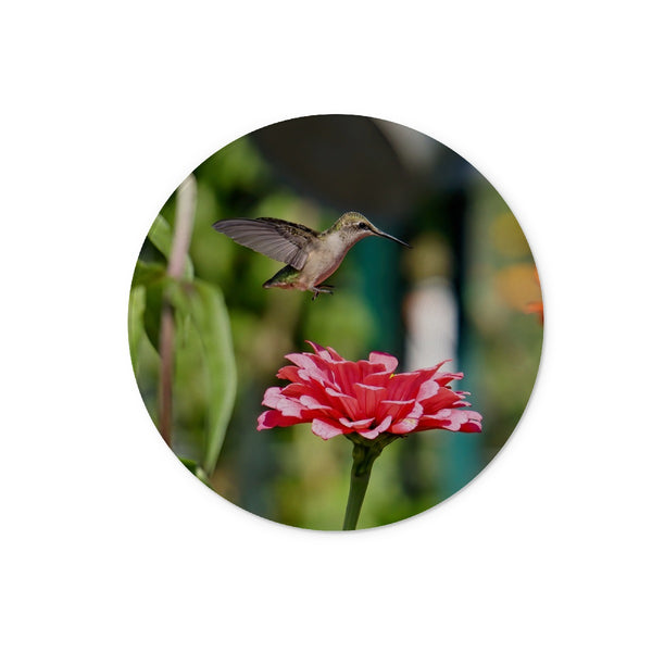 Hummingbird Hop Glass Chopping Board