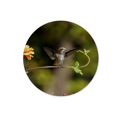 Hummingbird Stretch Glass Chopping Board