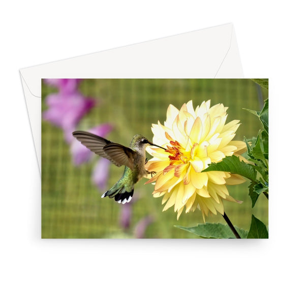 Flower Flame Hummingbird Greeting Card