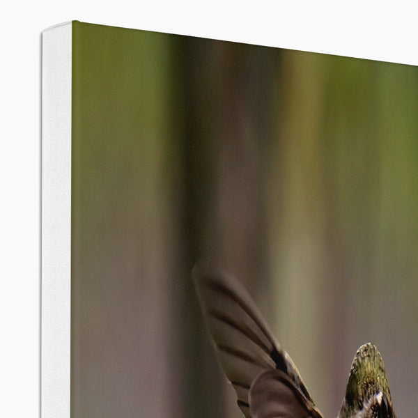 Hummingbird Orange Flower Eco Canvas