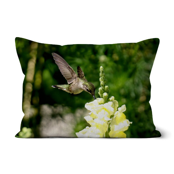 Snappy Light Hummingbirds Cushion