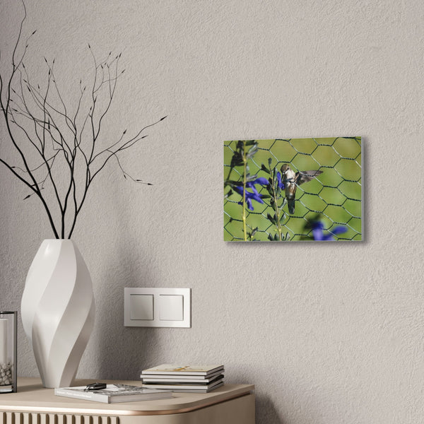 On the Fence Canvas Stretched, 0.75"