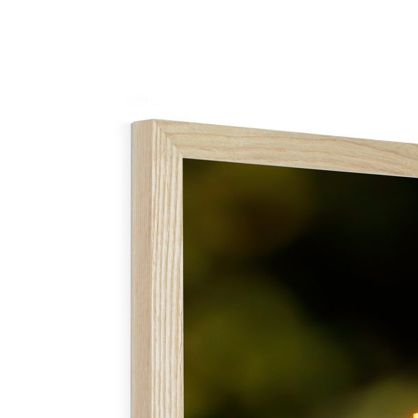 Hummingbird Stretch Framed Print