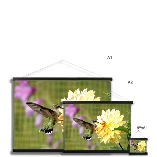 Flower Flame Hummingbird Fine Art Print with Hanger