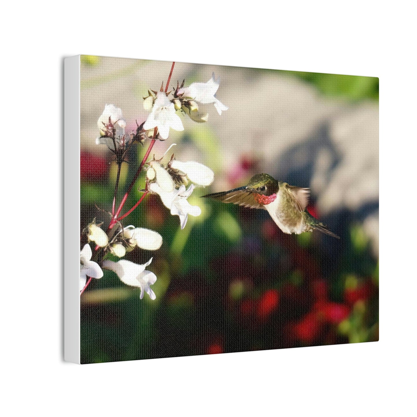 True Ruby Canvas