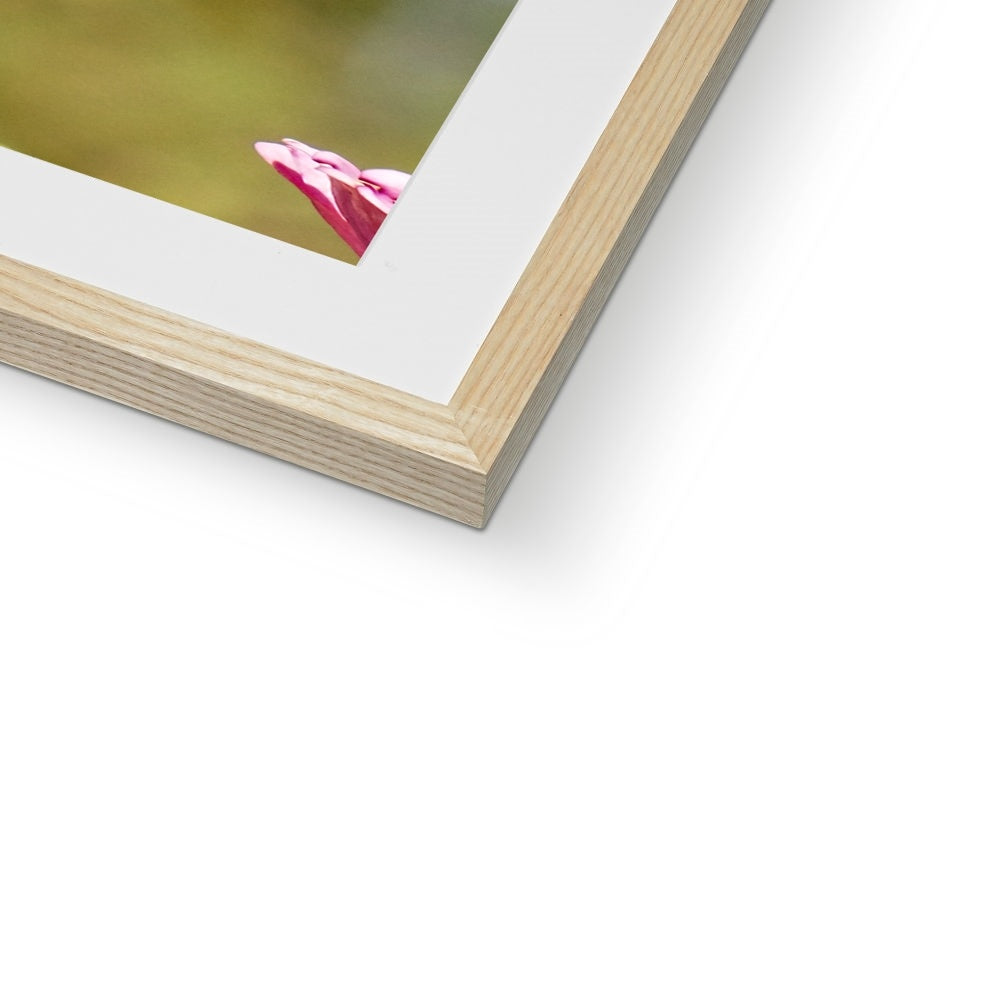 Hummingbird Hug Framed & Mounted Print