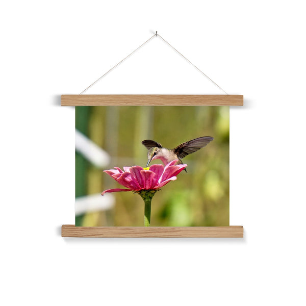 Hummingbird Hug Fine Art Print with Hanger