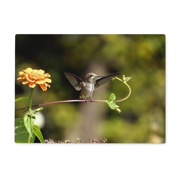 Hummingbird Stretch Glass Chopping Board