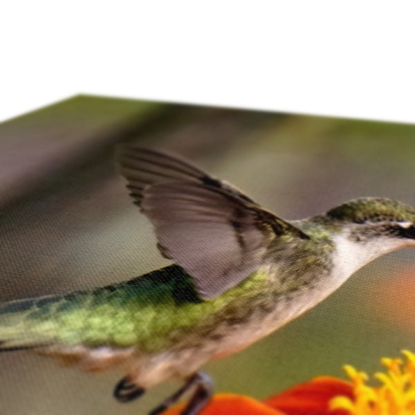 Hummingbird Orange Flower Canvas