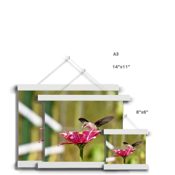 Hummingbird Hug Fine Art Print with Hanger