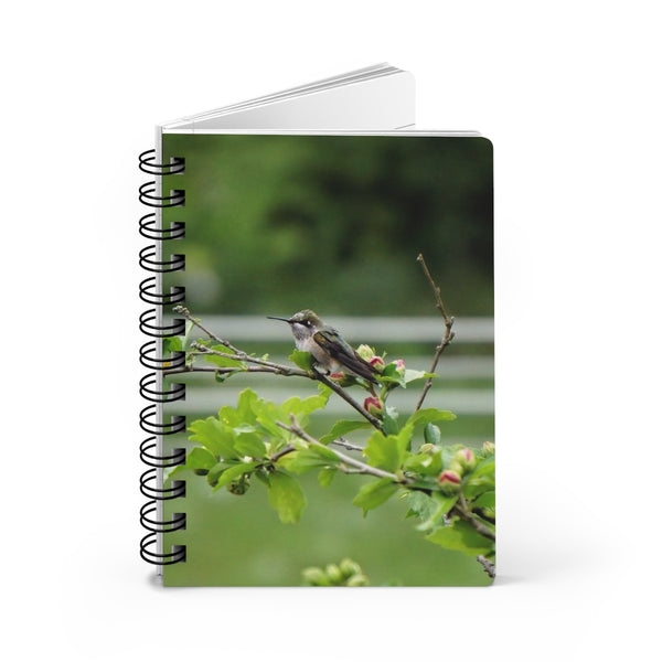 Flower Bud Hummingbird Spiral Bound Journal