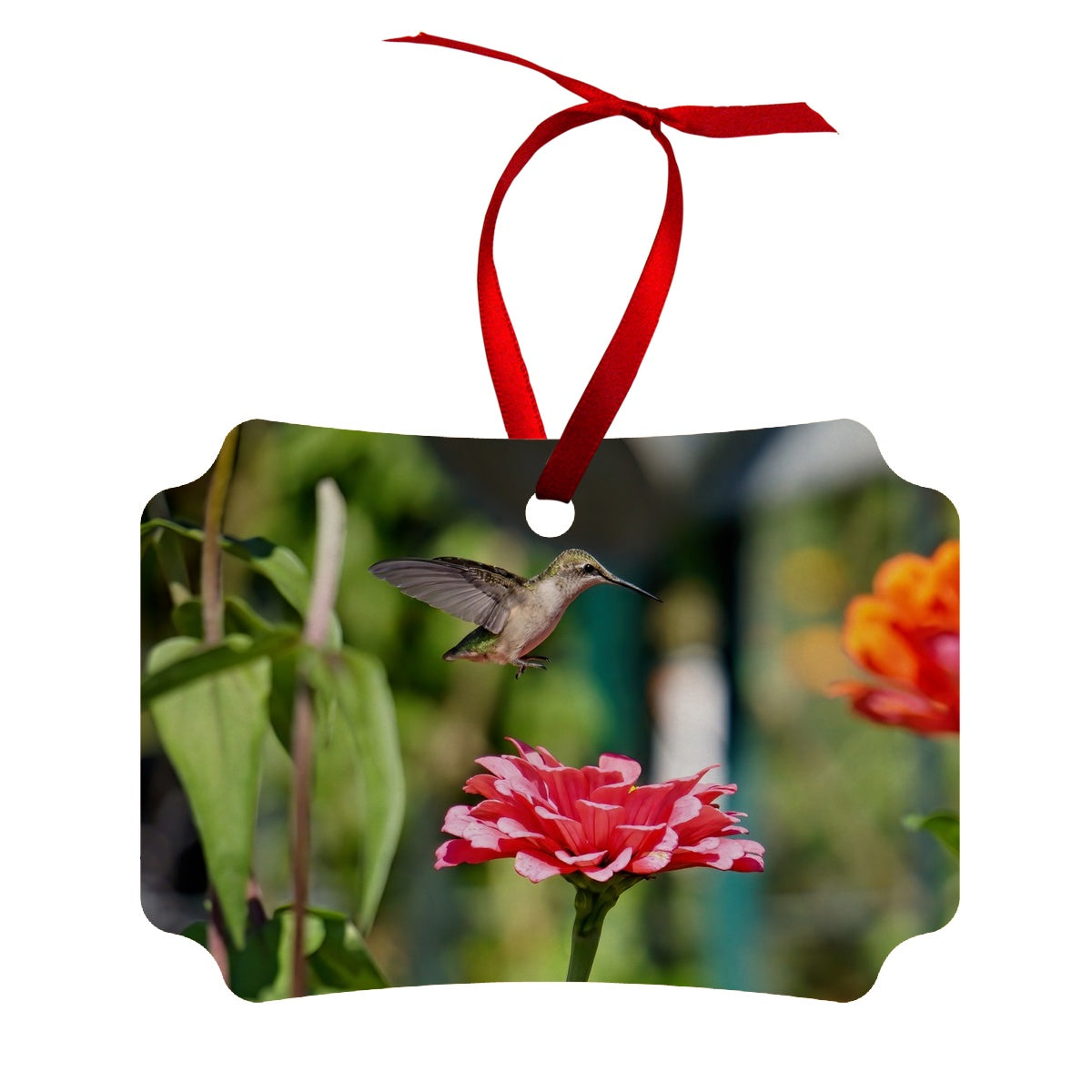 Hummingbird Hop Wood Ornament