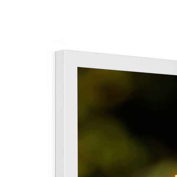 Hummingbird Stretch Framed Print