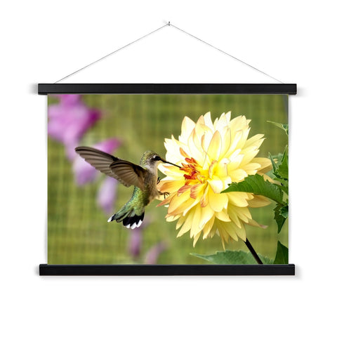 Flower Flame Hummingbird Fine Art Print with Hanger