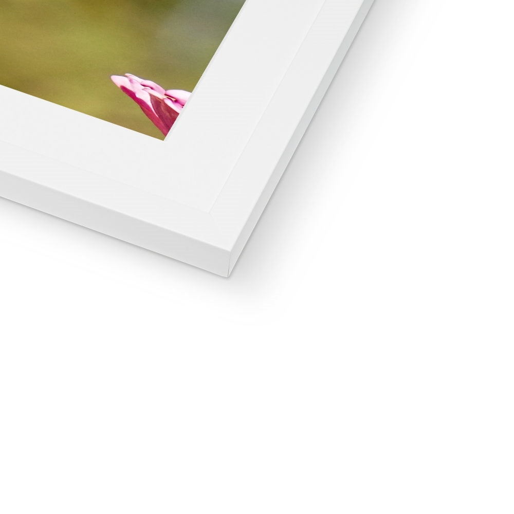 Hummingbird Hug Framed & Mounted Print
