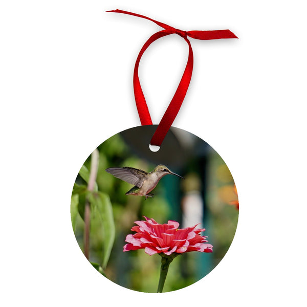 Hummingbird Hop Wood Ornament