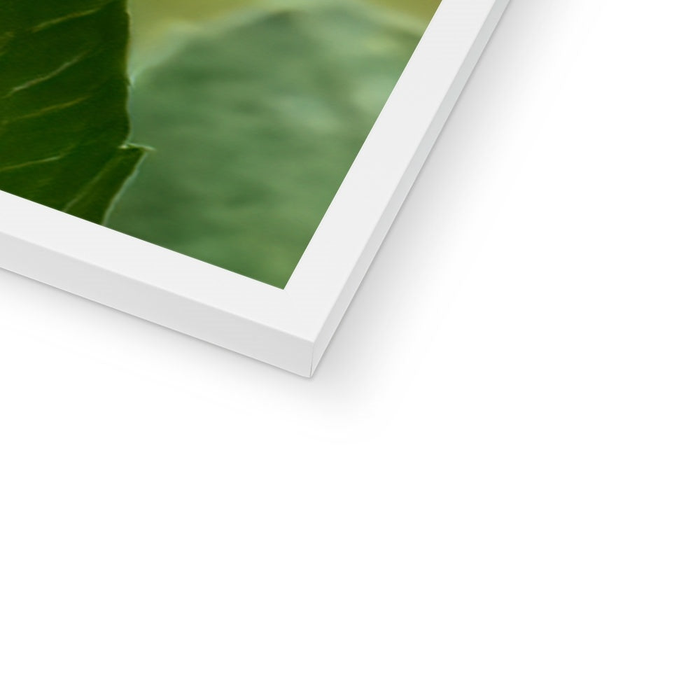 Flower Flame Hummingbird Framed Print