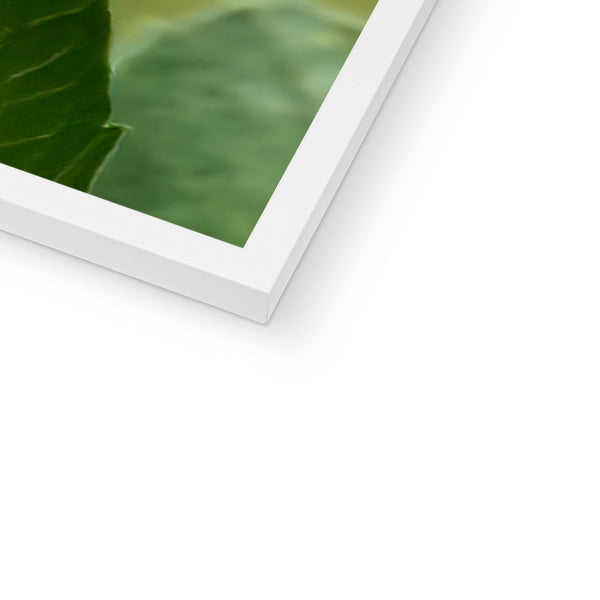 Flower Flame Hummingbird Framed Print