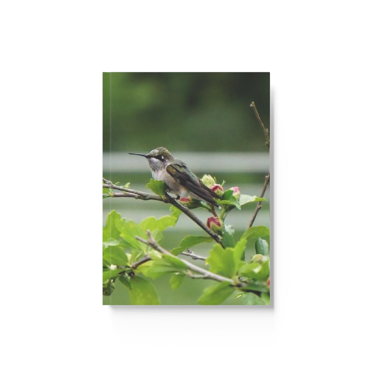 Flower Bud Hummingbird Hard Backed Journal