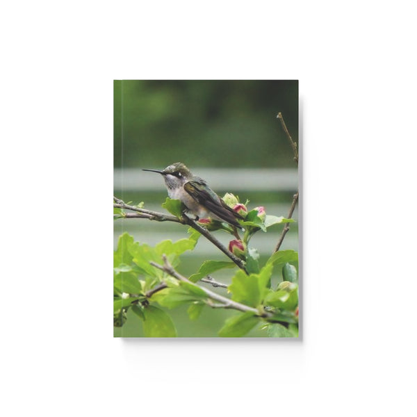Flower Bud Hummingbird Hard Backed Journal