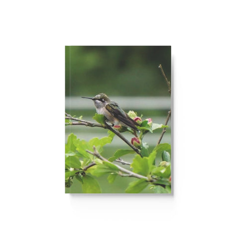Flower Bud Hummingbird Hard Backed Journal