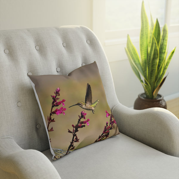Flying Dart Hummingbird Cushion
