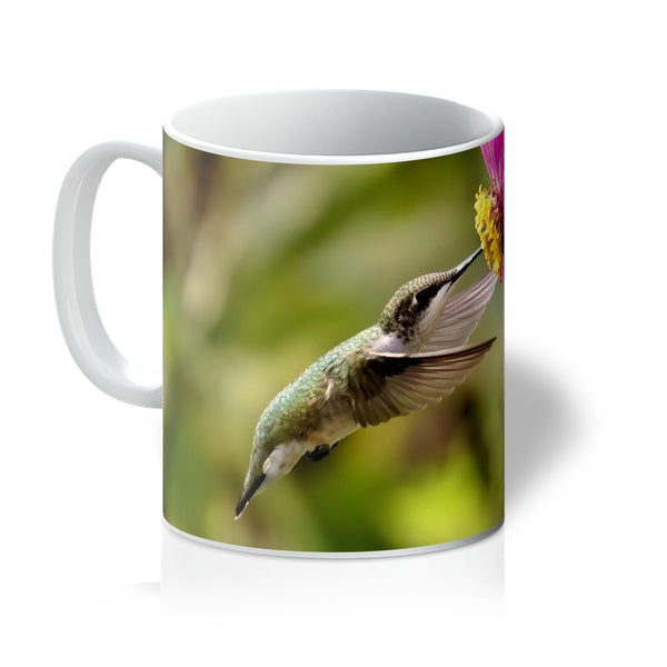 Hummingbird Looking Up Photography Mug