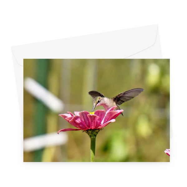 Hummingbird Hug Greeting Card