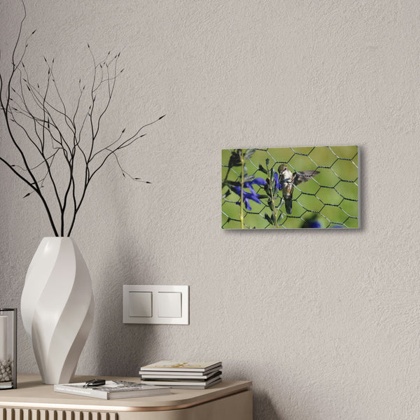 On the Fence Canvas Stretched, 0.75"