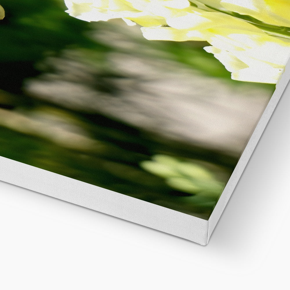 Snappy Light Hummingbirds Eco Canvas
