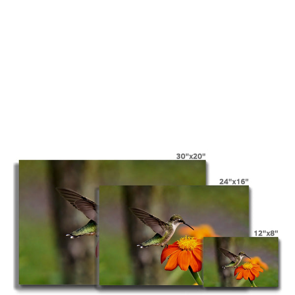 Hummingbird Orange Flower Eco Canvas