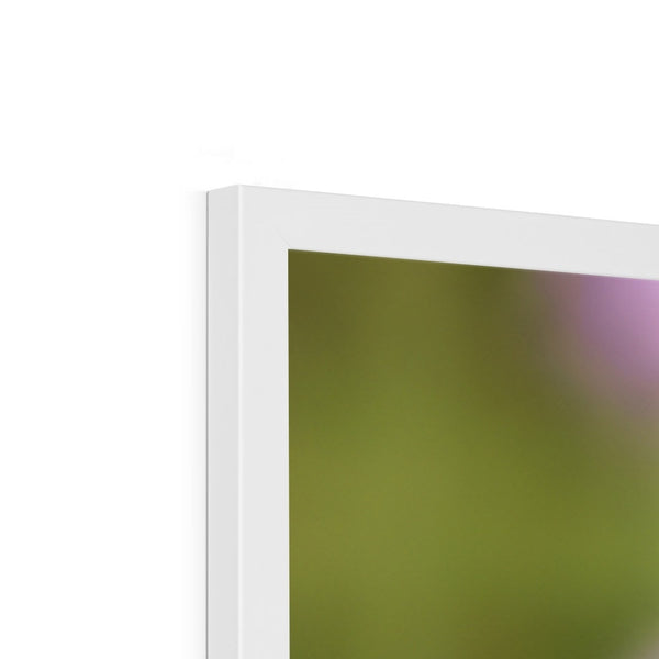 Flower Flame Hummingbird Framed Print