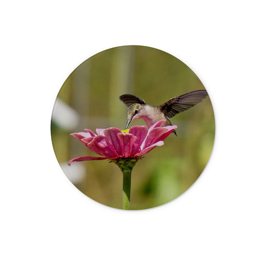 Hummingbird Hug Glass Chopping Board